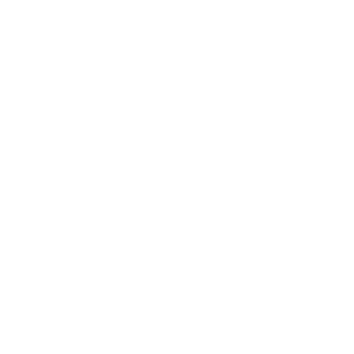 Step 3 Icon